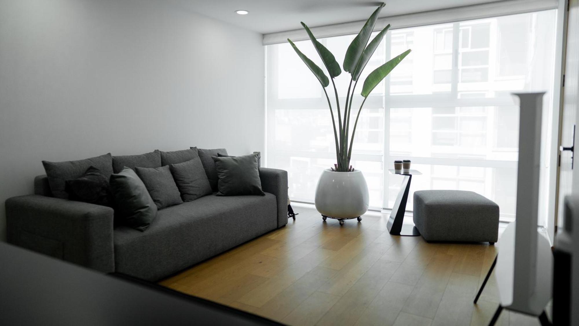 Departamento Grande Condesa Apartment *