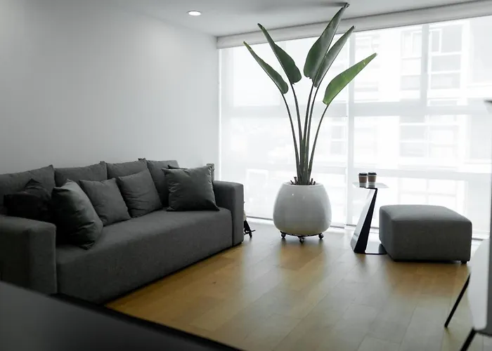 Departamento Grande Condesa